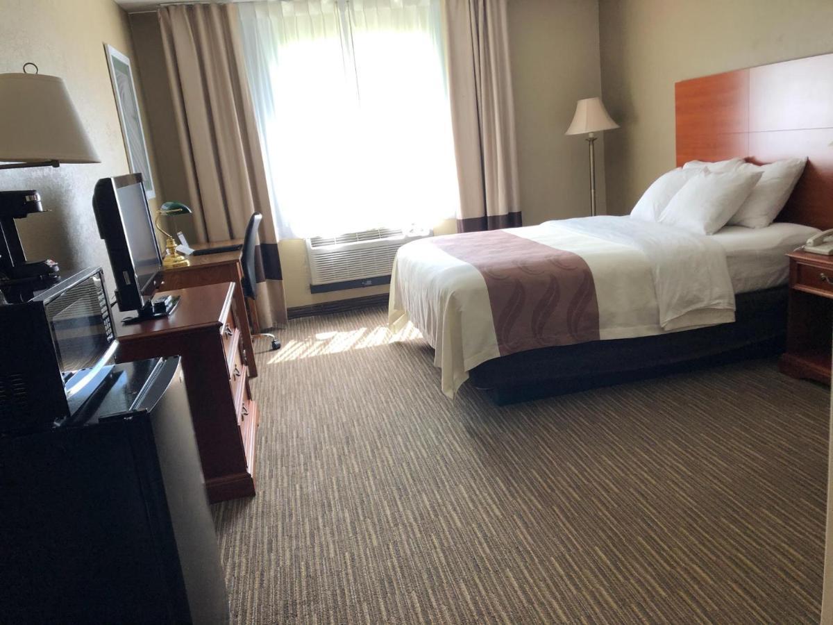 Quality Inn & Suites Нью-Касл Екстер'єр фото