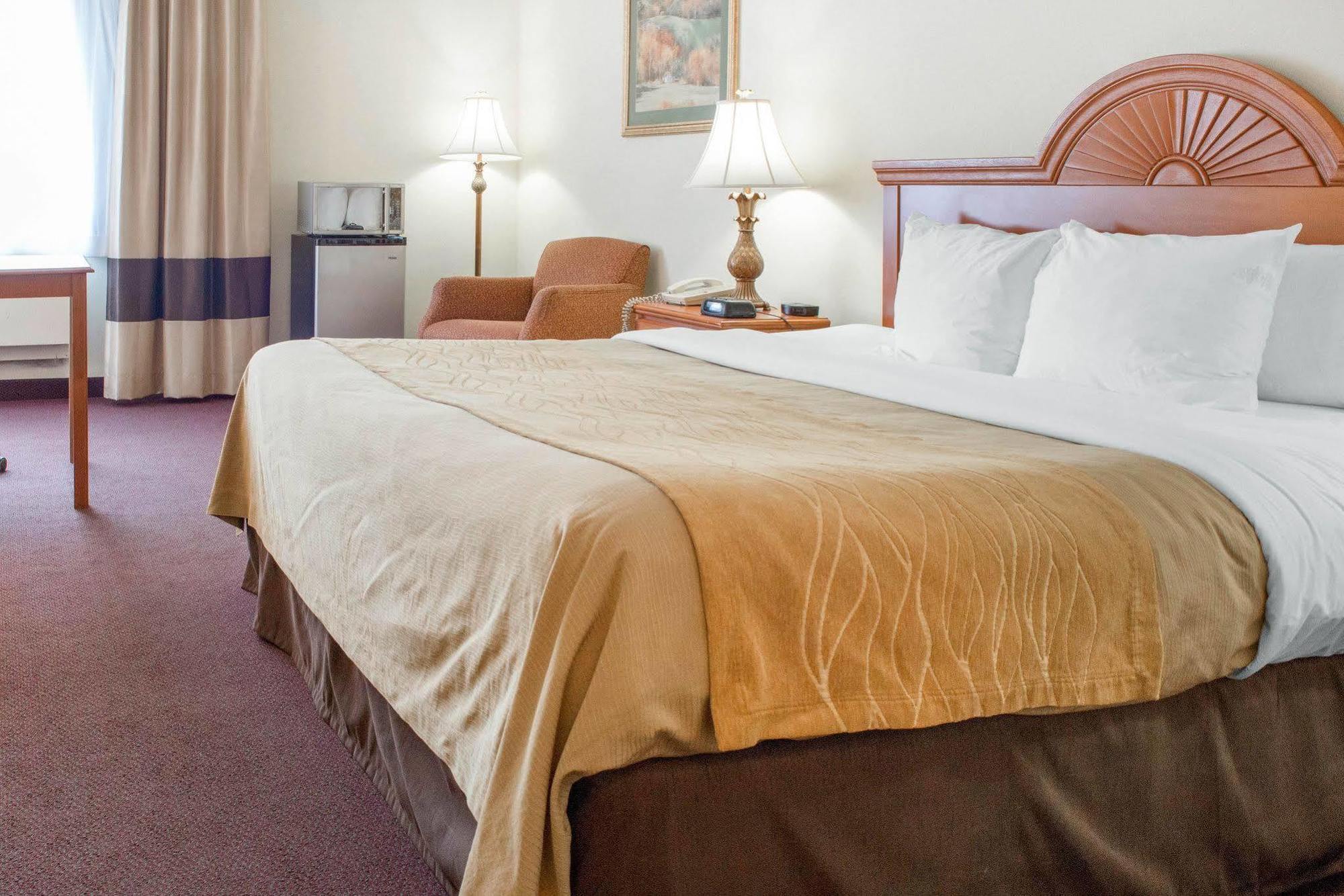 Quality Inn & Suites Нью-Касл Екстер'єр фото